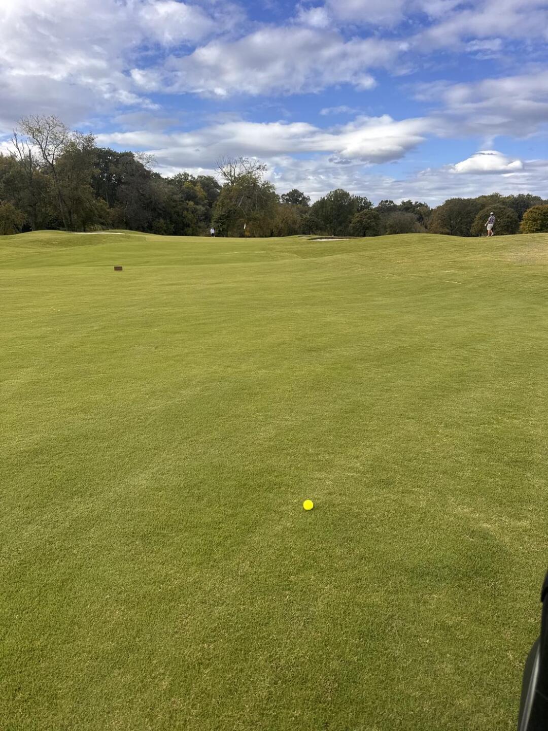 (Photo submitted by Rosita30 on 10/06/2025)