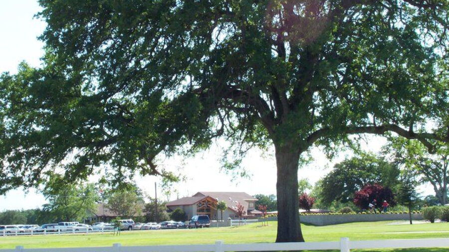 Wilcox Oaks GC: Clubhouse
