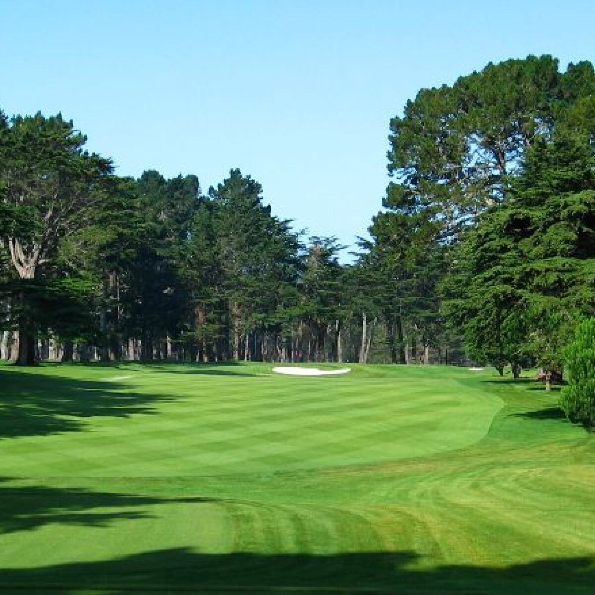 TPC Harding Park Fleming Course in San Francisco, California, USA