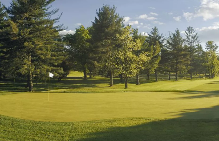 Greenbrier - Meadows: #17