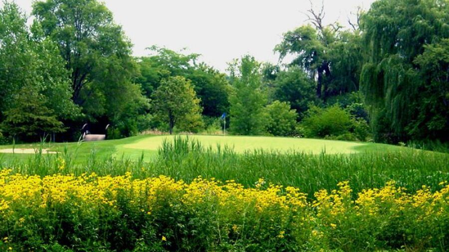 Hilldale GC: #16