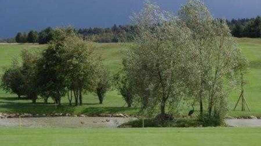 Wallenried GCC