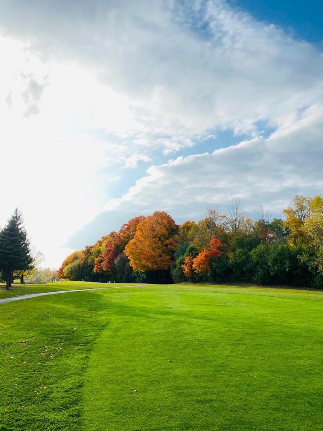 (Photo submitted by u314160865749 on 10/10/2020)