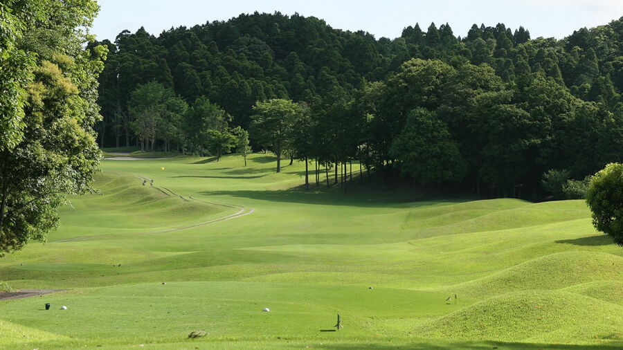 The CC Japan: #15