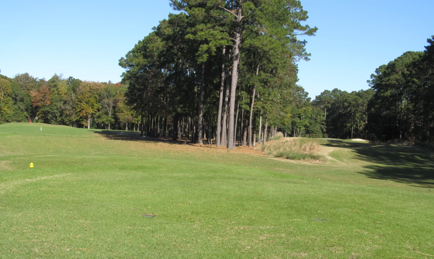 Blackmoor Golf Club - hole 8
