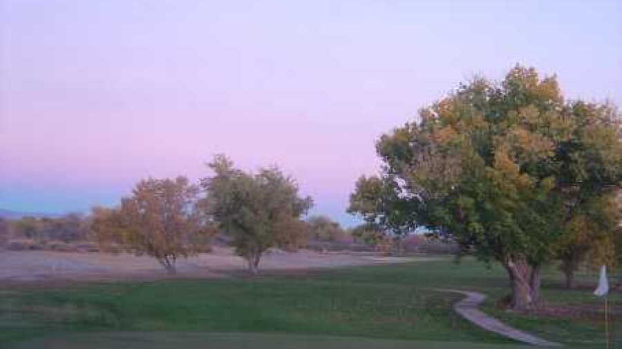 Fallon GC 