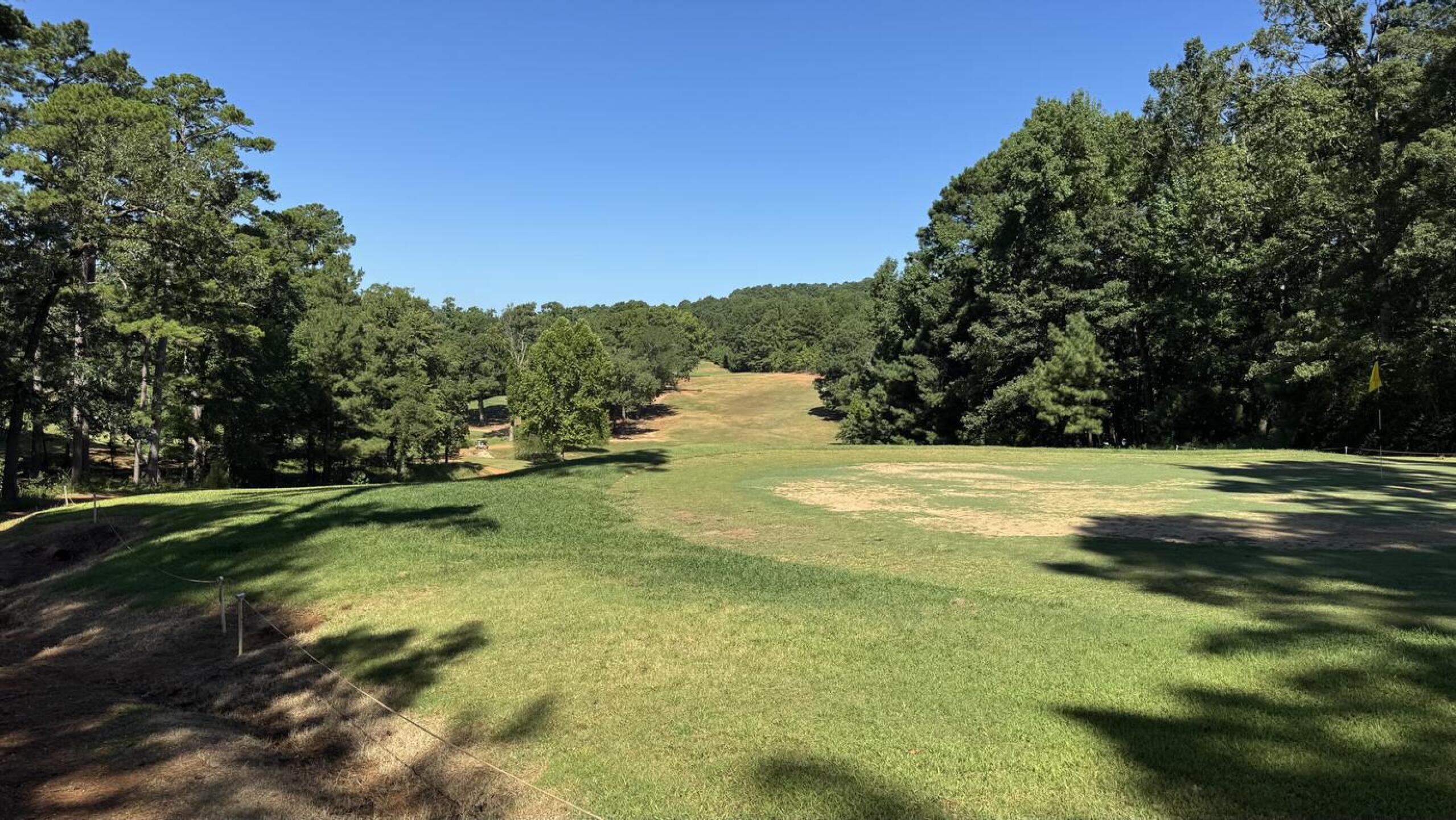 (Photo submitted by DaveNizi on 07/25/2025)