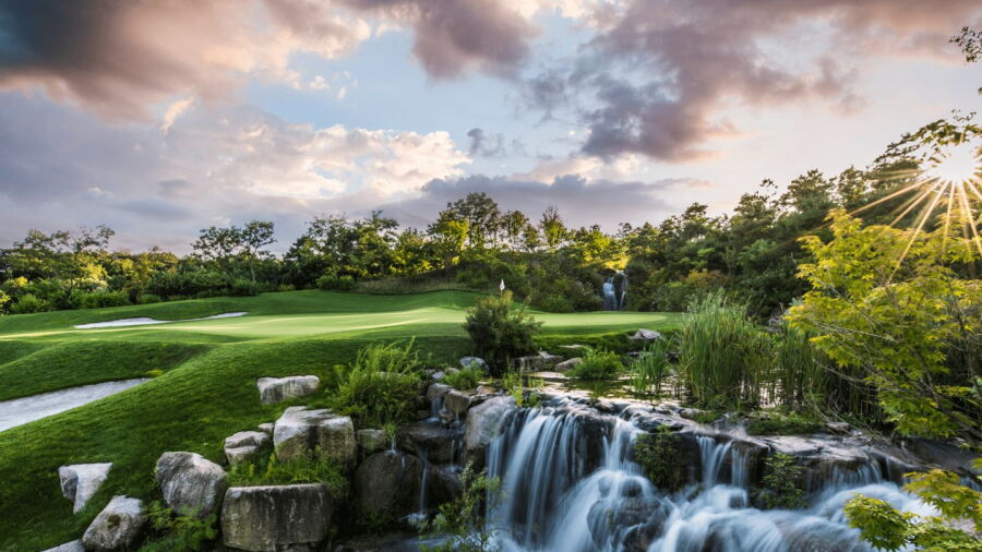 Wellington CC - Wyvern Nine: #5
