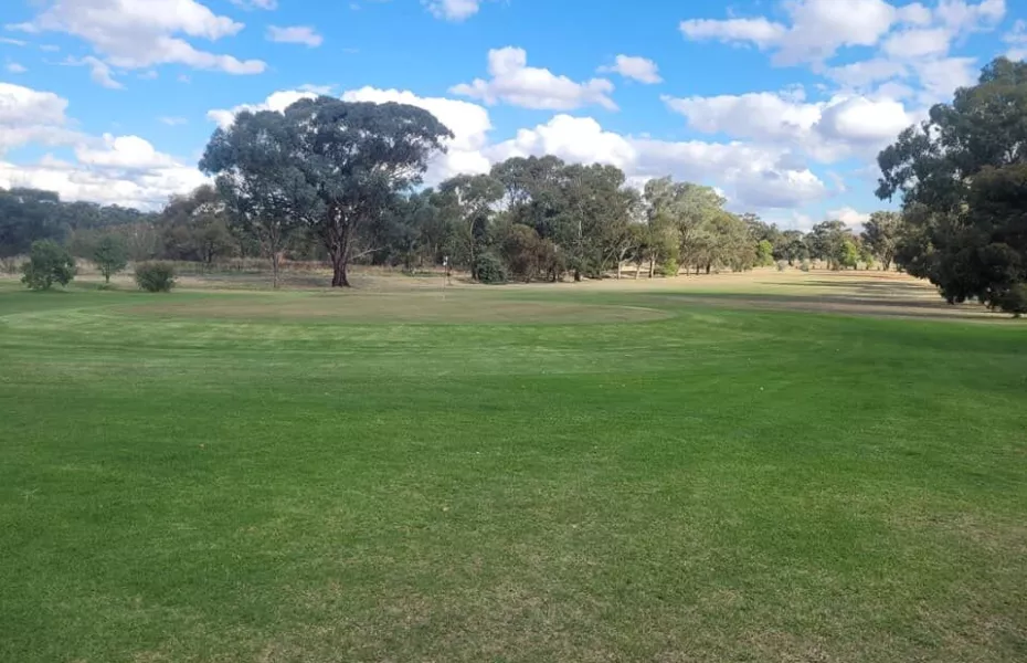 Temora GC
