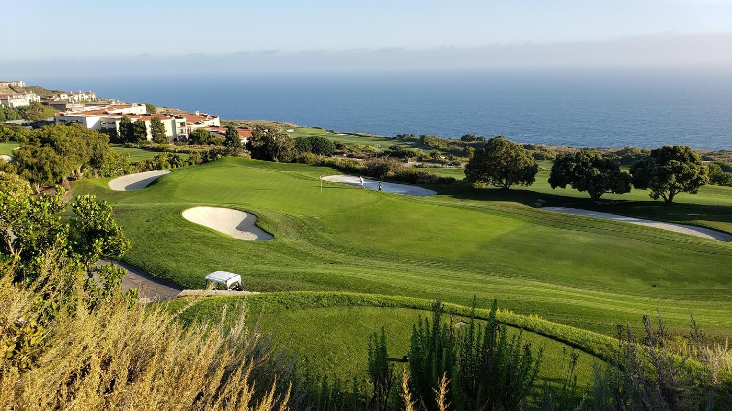 (Photo submitted by si122775 on 07/09/2020)