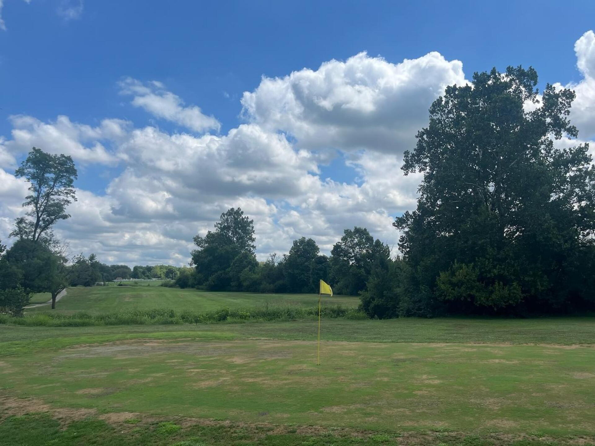 All the greens looked like this. (Photo submitted by jeffp45002 on 08/23/2025)
