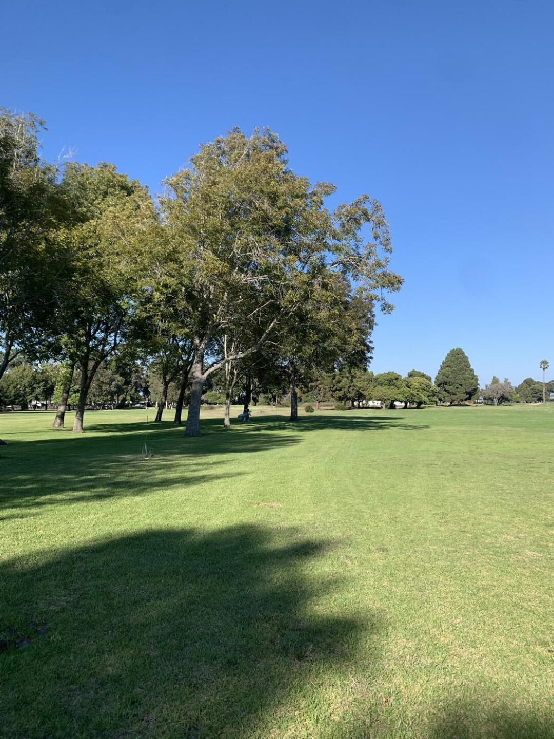 (Photo submitted by BEeSFeScRcijuX9uiJb5 on 01/06/2024)