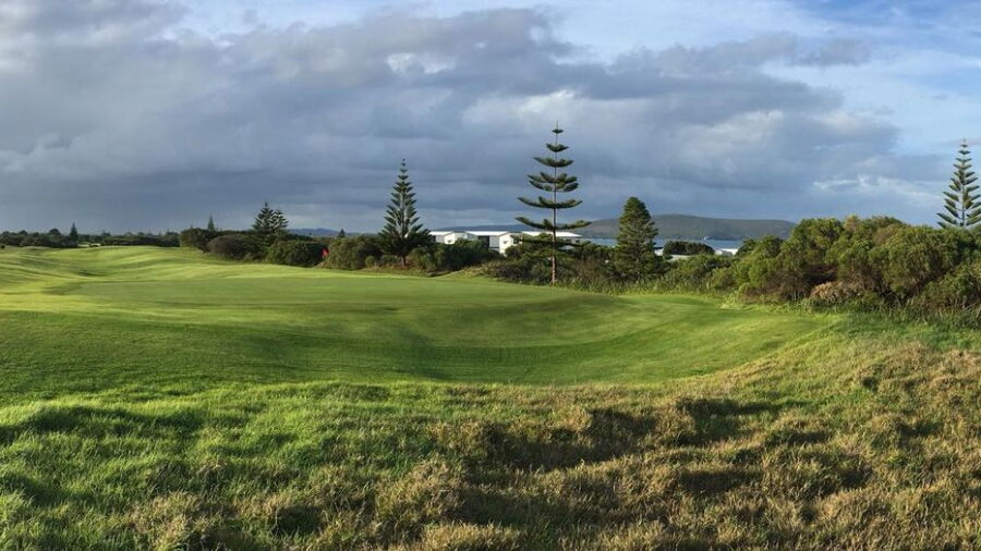 Albany GC: #13