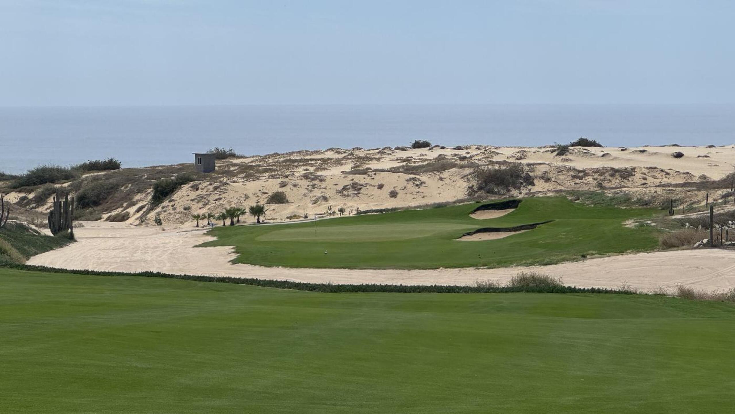 (Photo submitted by sjmartin13 on 04/15/2026)