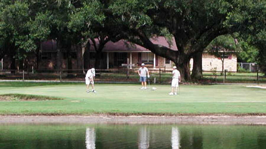 Tanglewood GCC