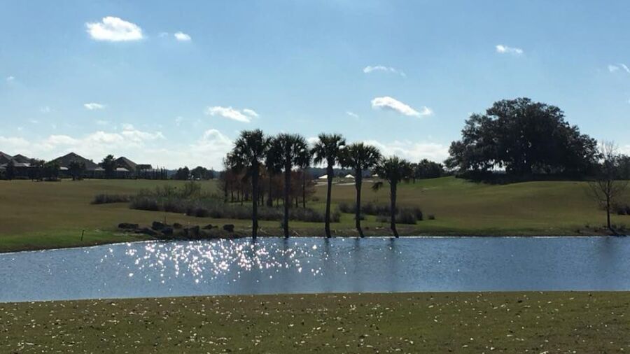 Palmetto at The Villages Executive Golf Trail