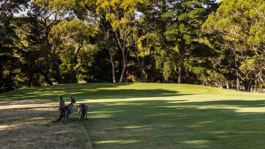 Highercombe GCC: #16