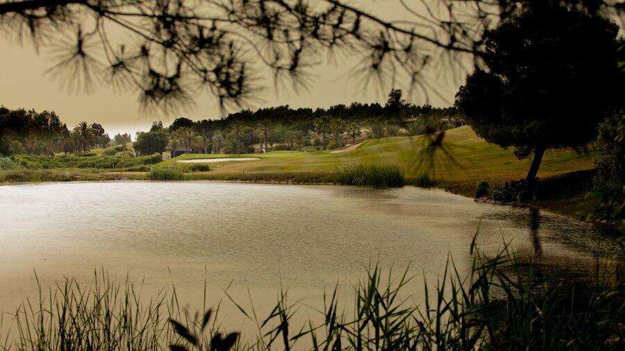 Golf Citrus - La Foret