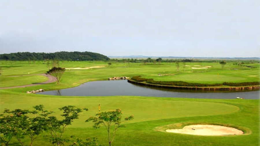 Linknine GC