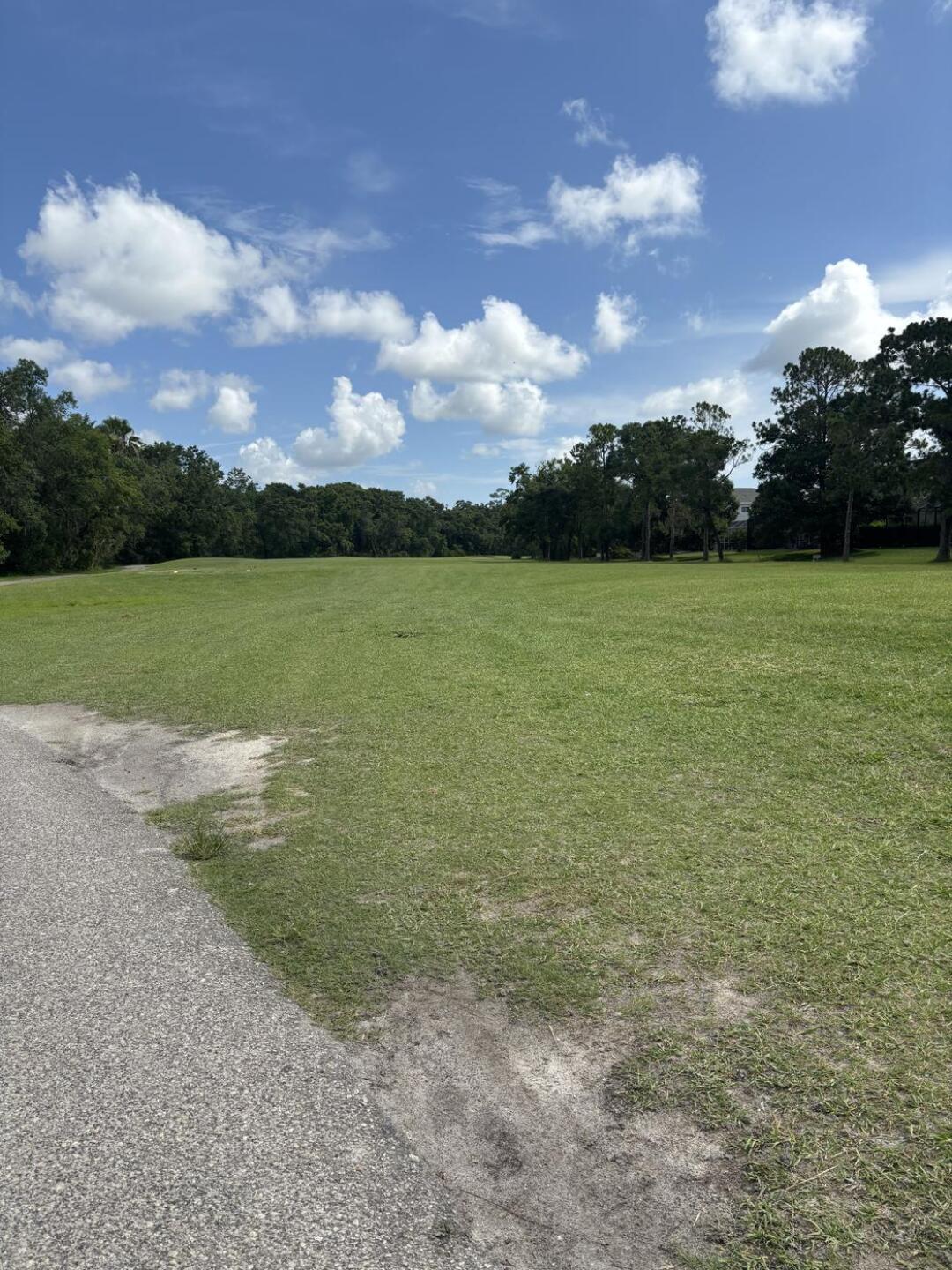 (Photo submitted by u314160863268 on 06/20/2025)