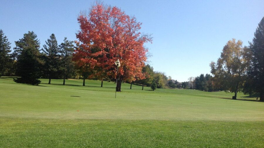 Northfield GC