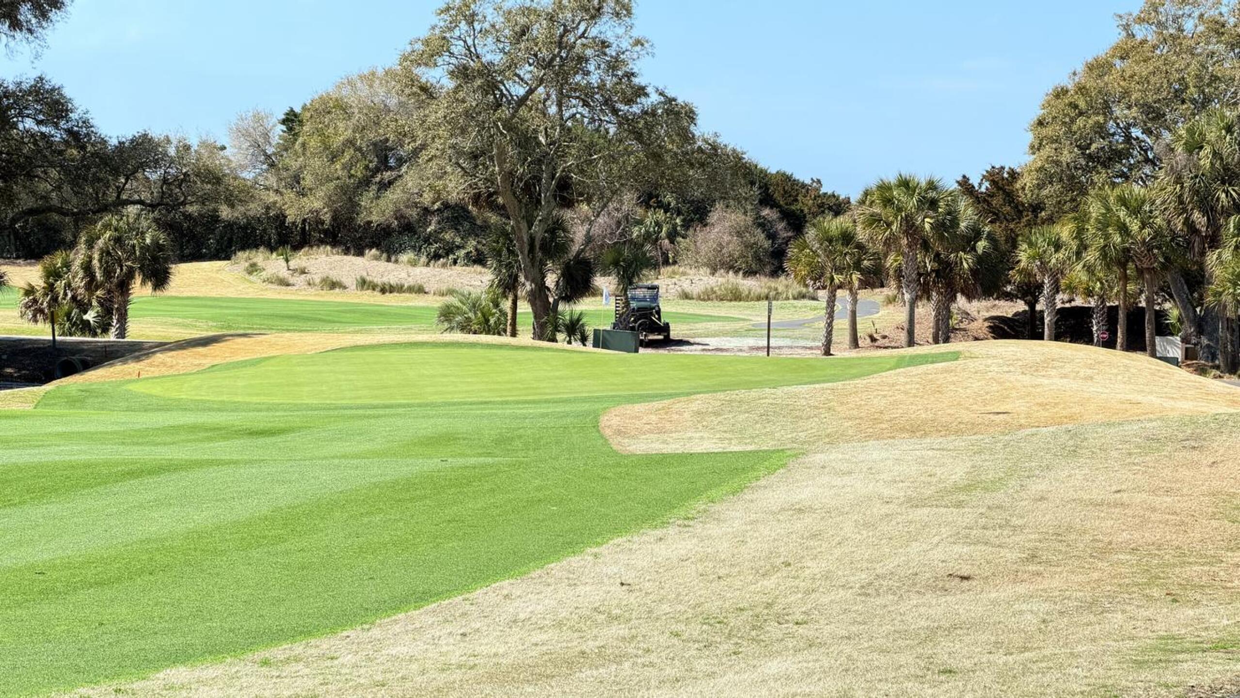 (Photo submitted by GolfMedicChick on 03/07/2026)