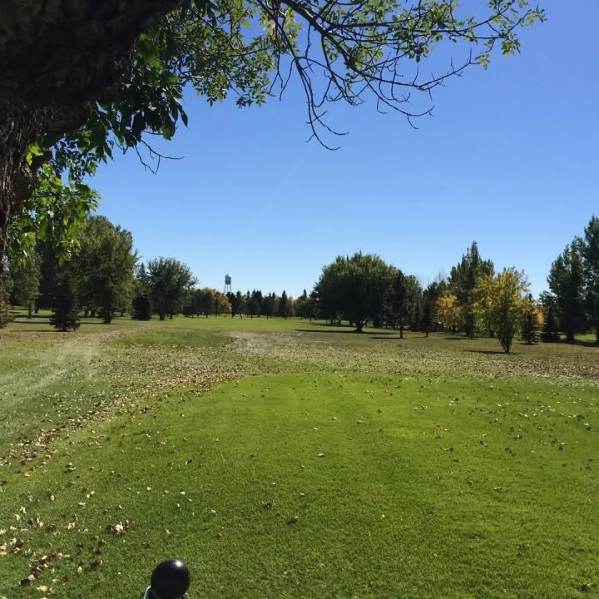 McVille Country Club in McVille, North Dakota, USA GolfPass