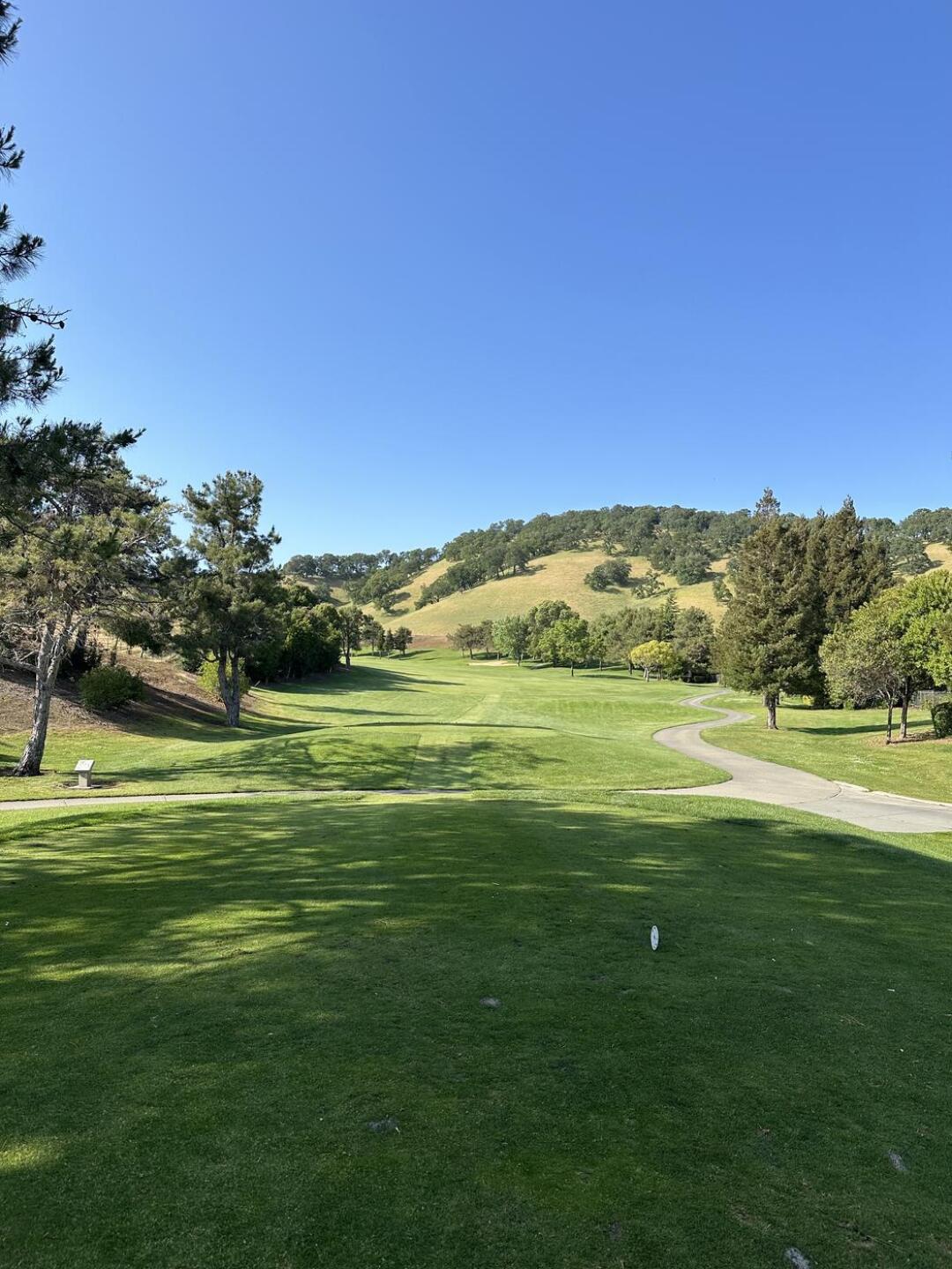 (Photo submitted by nickclark104 on 05/04/2025)