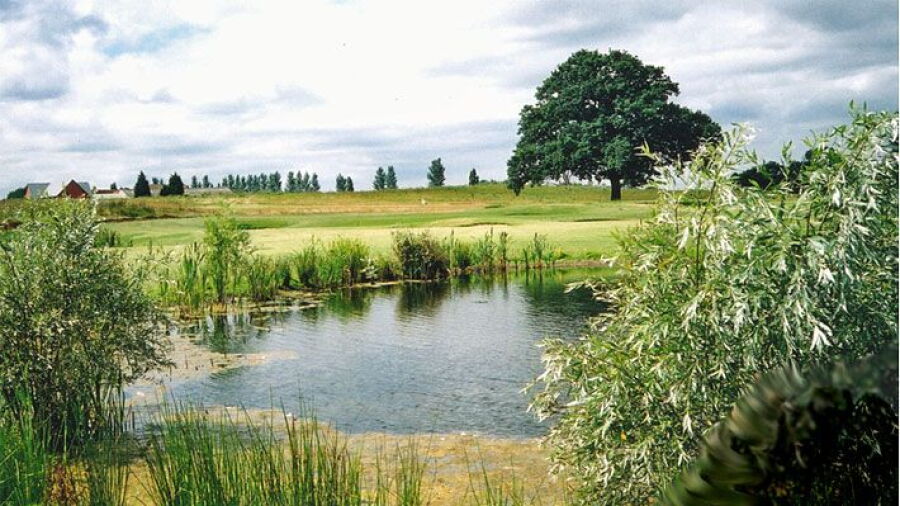 North Weald GC: #8