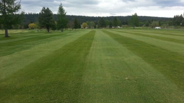 McCall GC