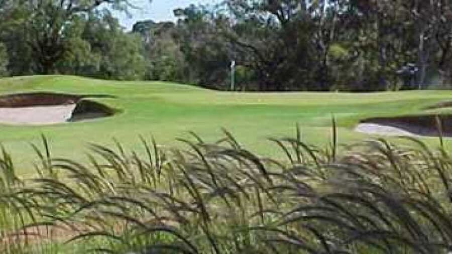 Peninsula CGC - South: #16
