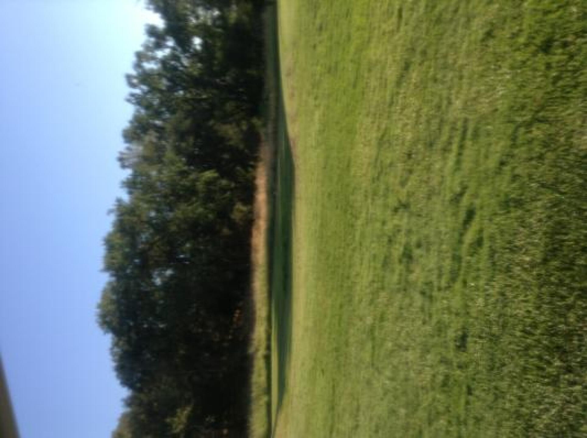 Can see a fox if you look closely. (Photo submitted by snowboardin1 on 05/23/2013)