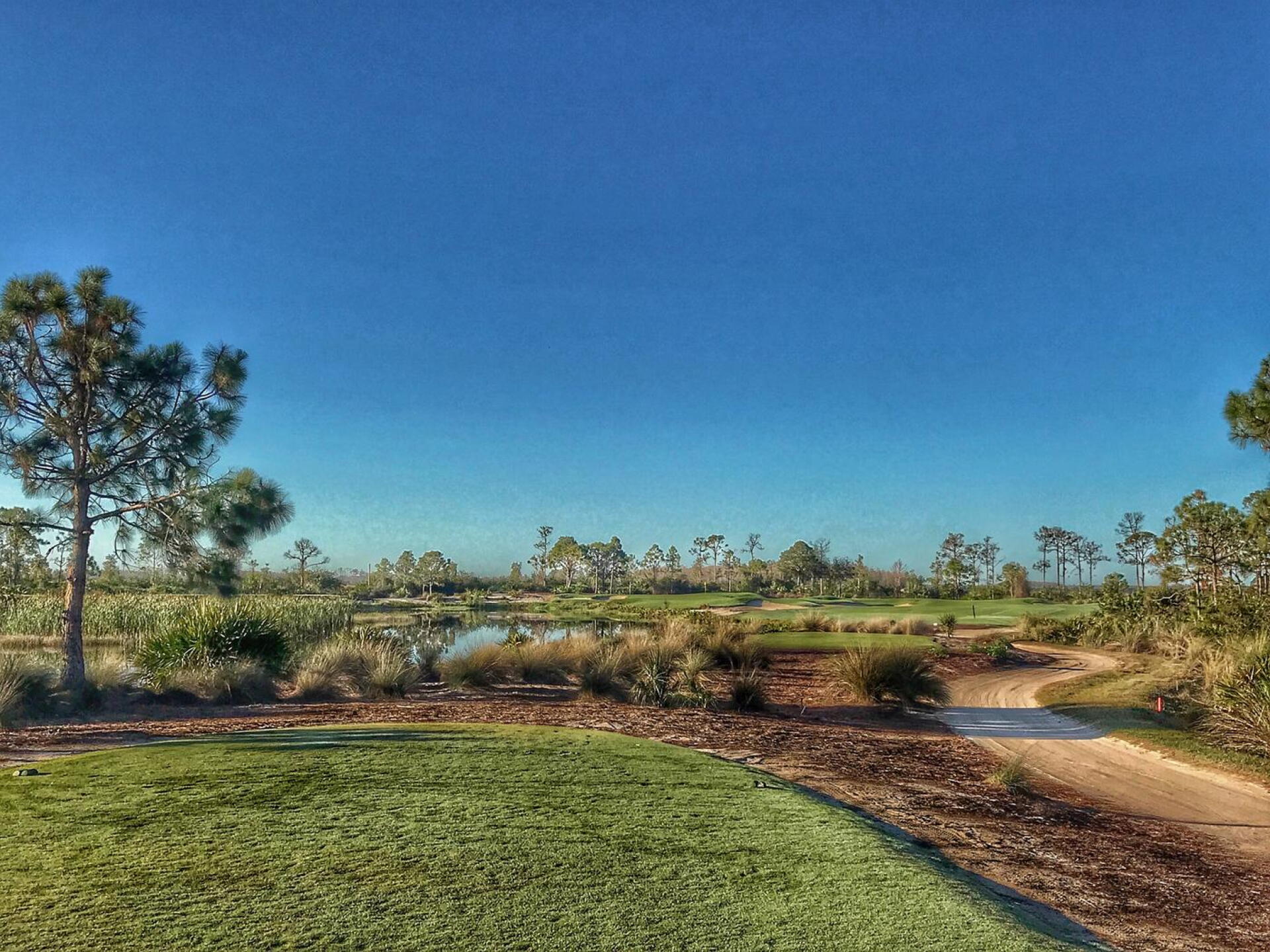 Hole 4 at Old Corkscrew is a reachable par 4, but there's a lot of danger to avoid. (Photo submitted by TimGavrichGP on 02/23/2018)