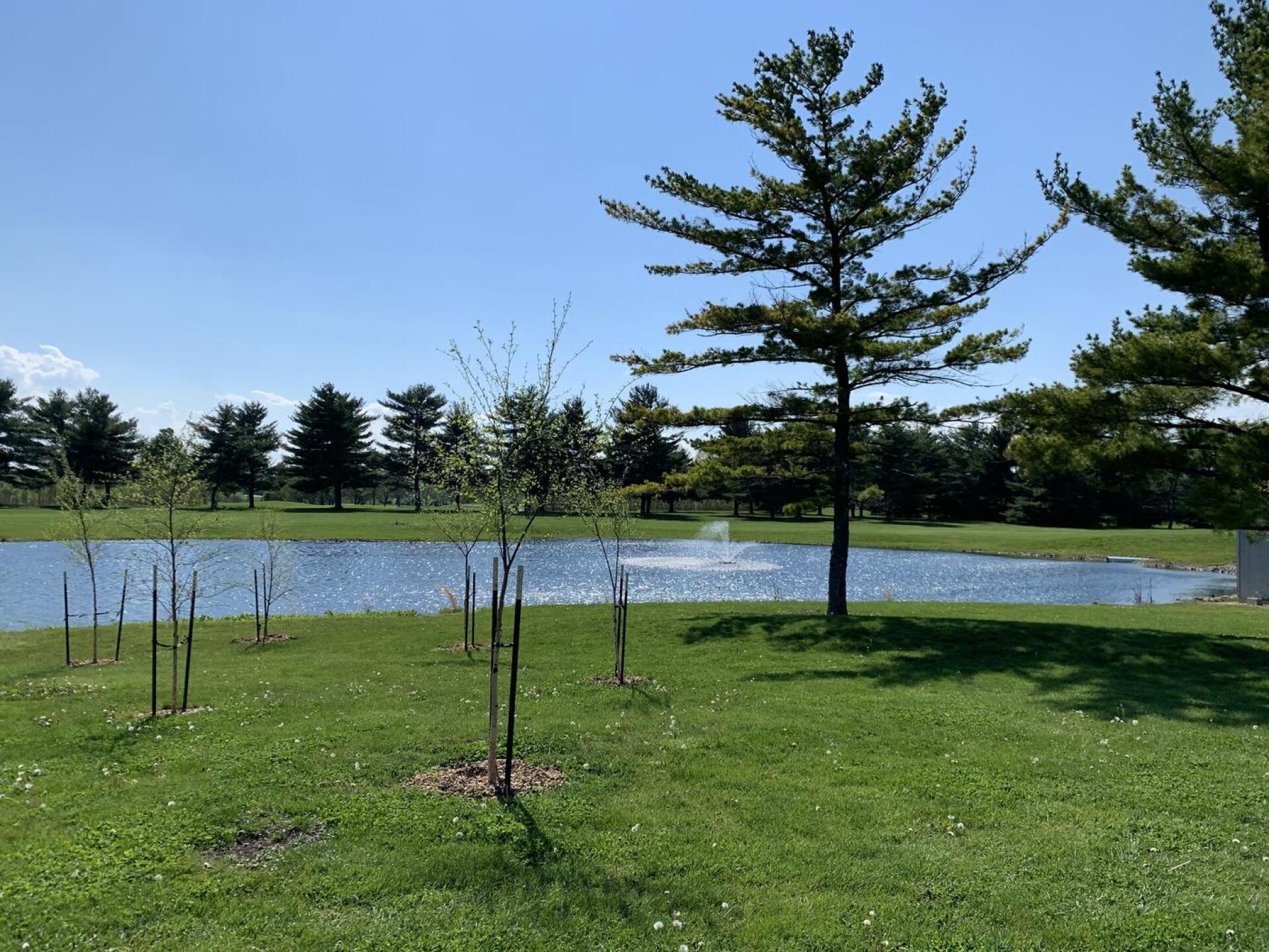 (Photo submitted by choo0813 on 04/30/2021)