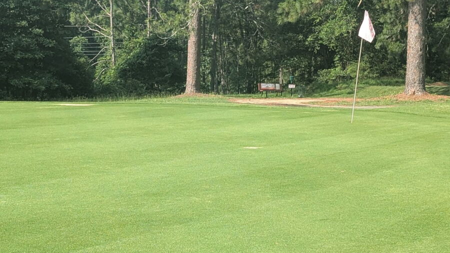 Pine Needles CC