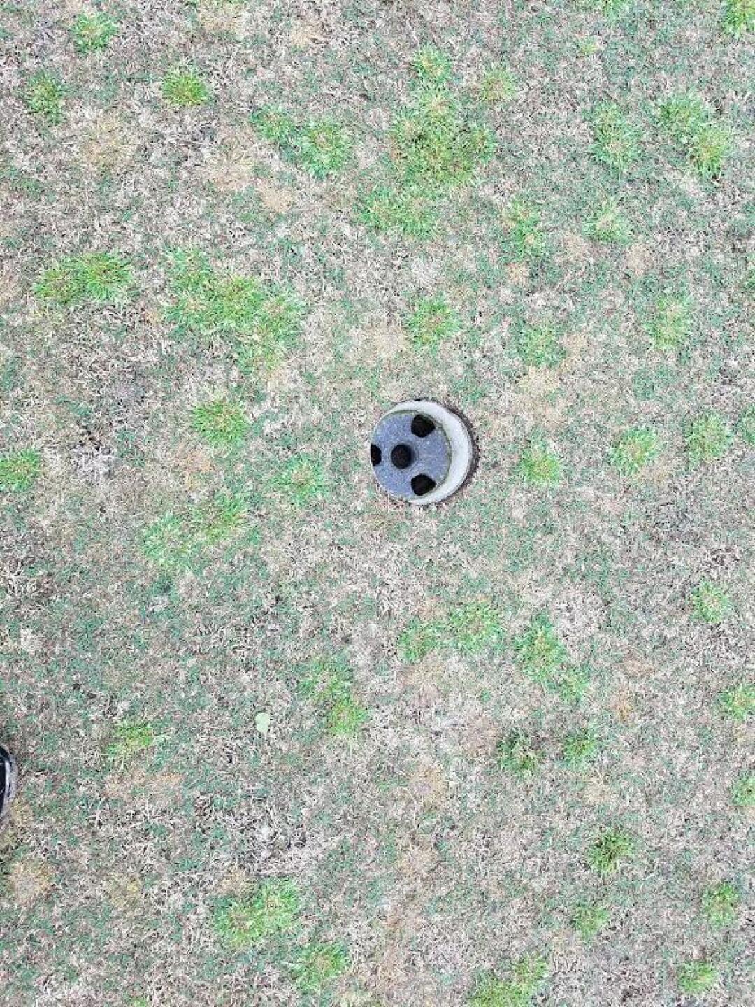 This is what every green looks like. Some are worse. (Photo submitted by pmm21 on 03/13/2017)