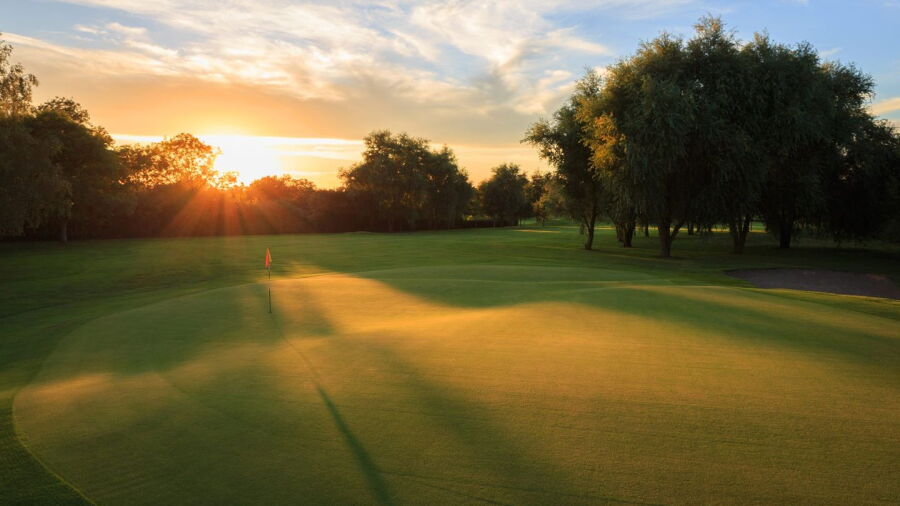 Isle of Wedmore GC: #8