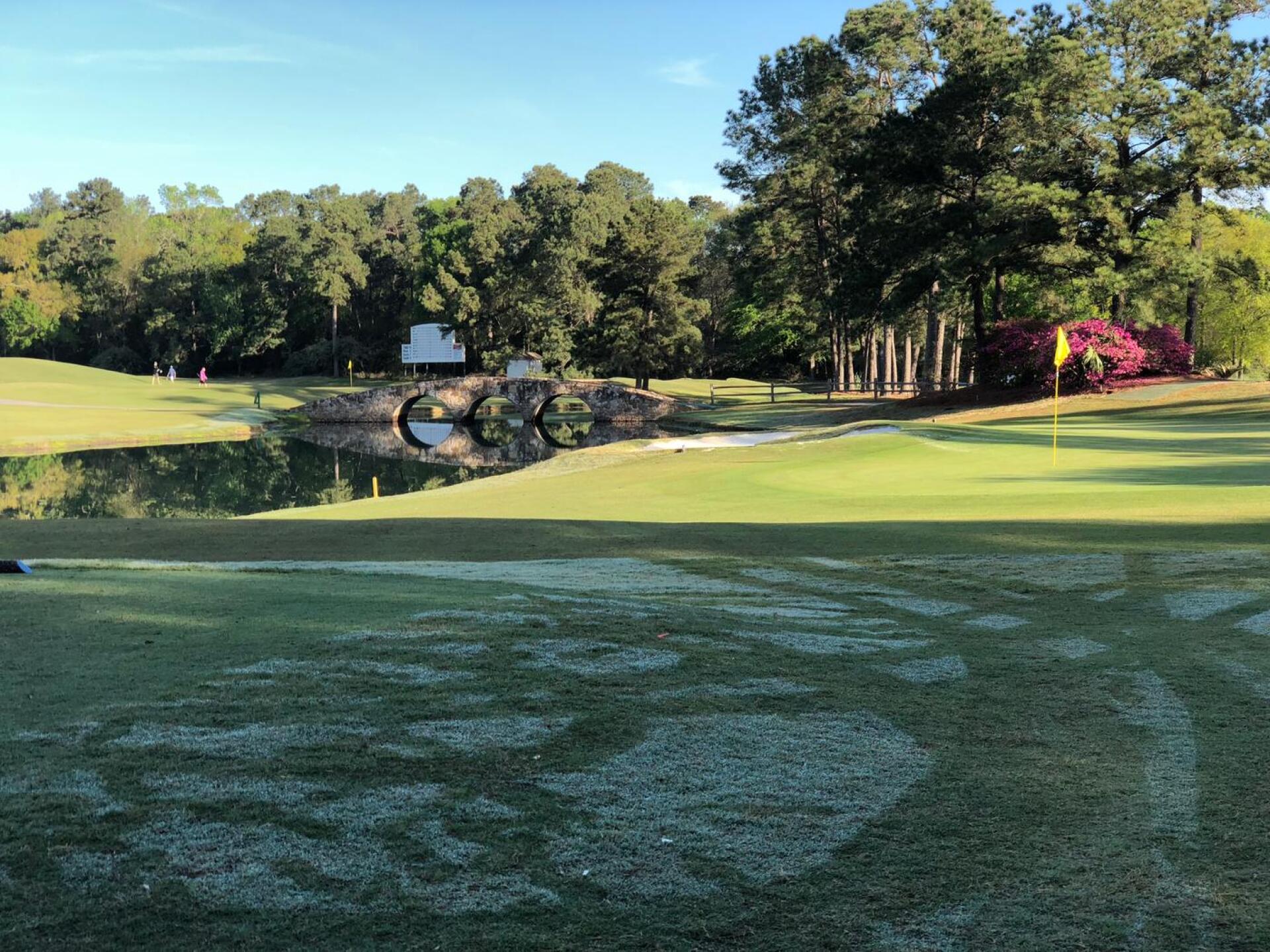 Augusta12 —birdie (Photo submitted by Gkramzar on 03/24/2018)
