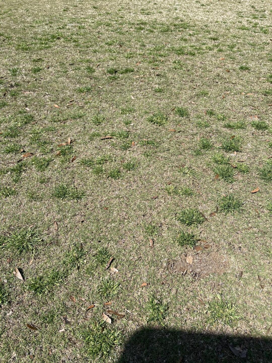 (Photo submitted by JLovins99 on 03/13/2021)