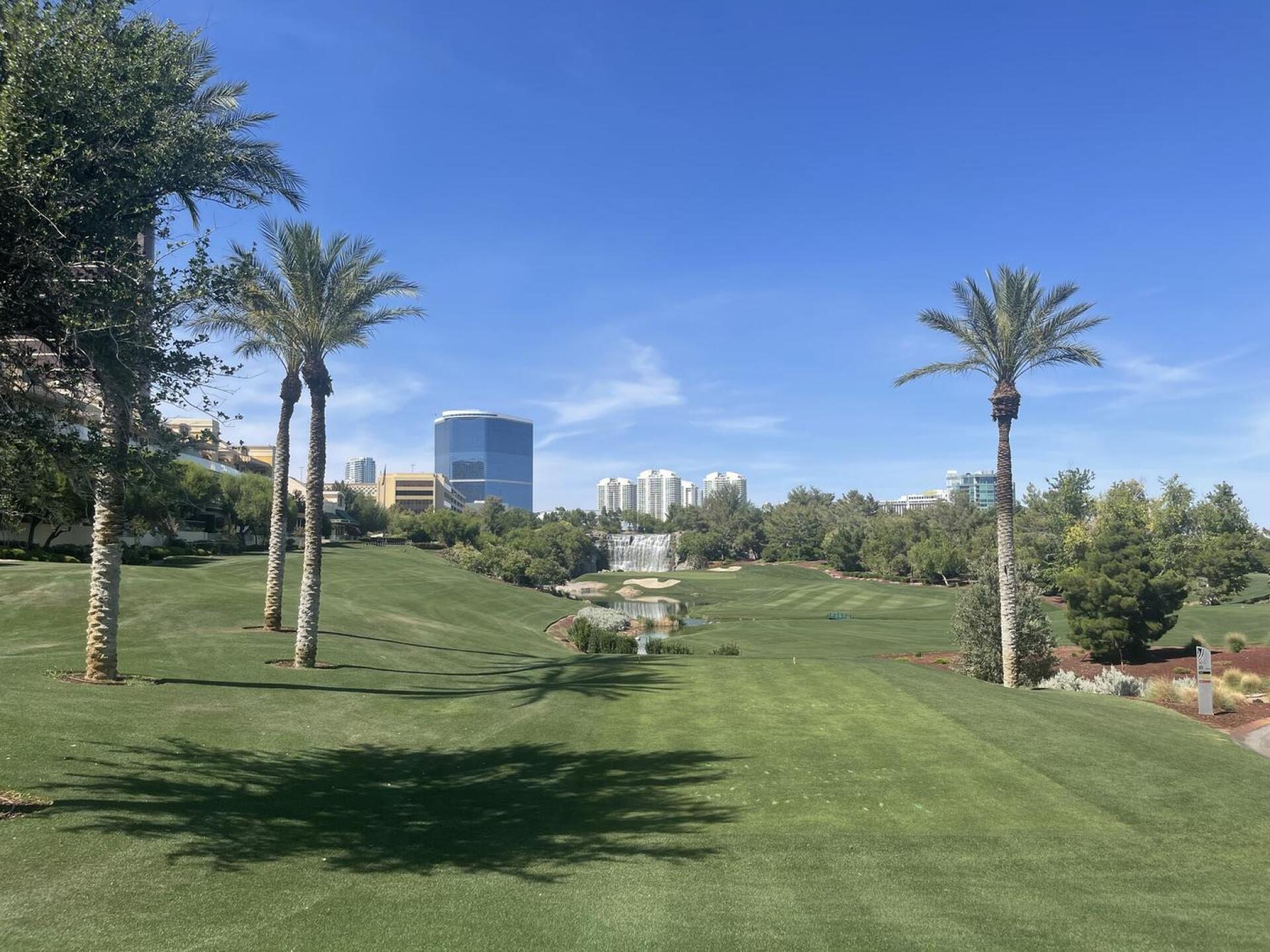 (Photo submitted by u314159839478 on 06/03/2024)