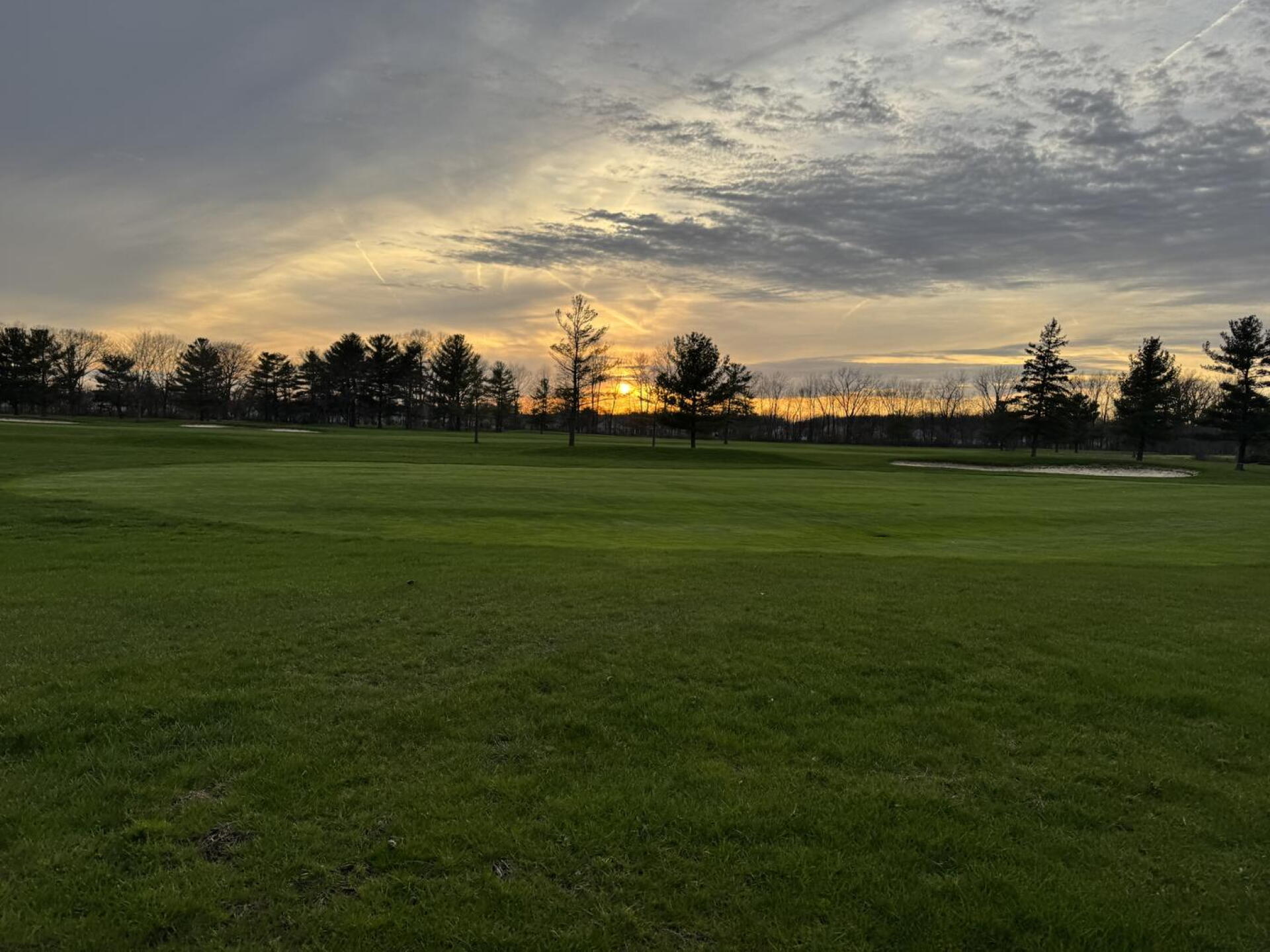 (Photo submitted by u7578686 on 04/14/2025)