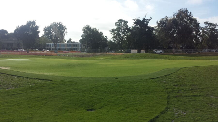 Baylands Golf Links: Putting green