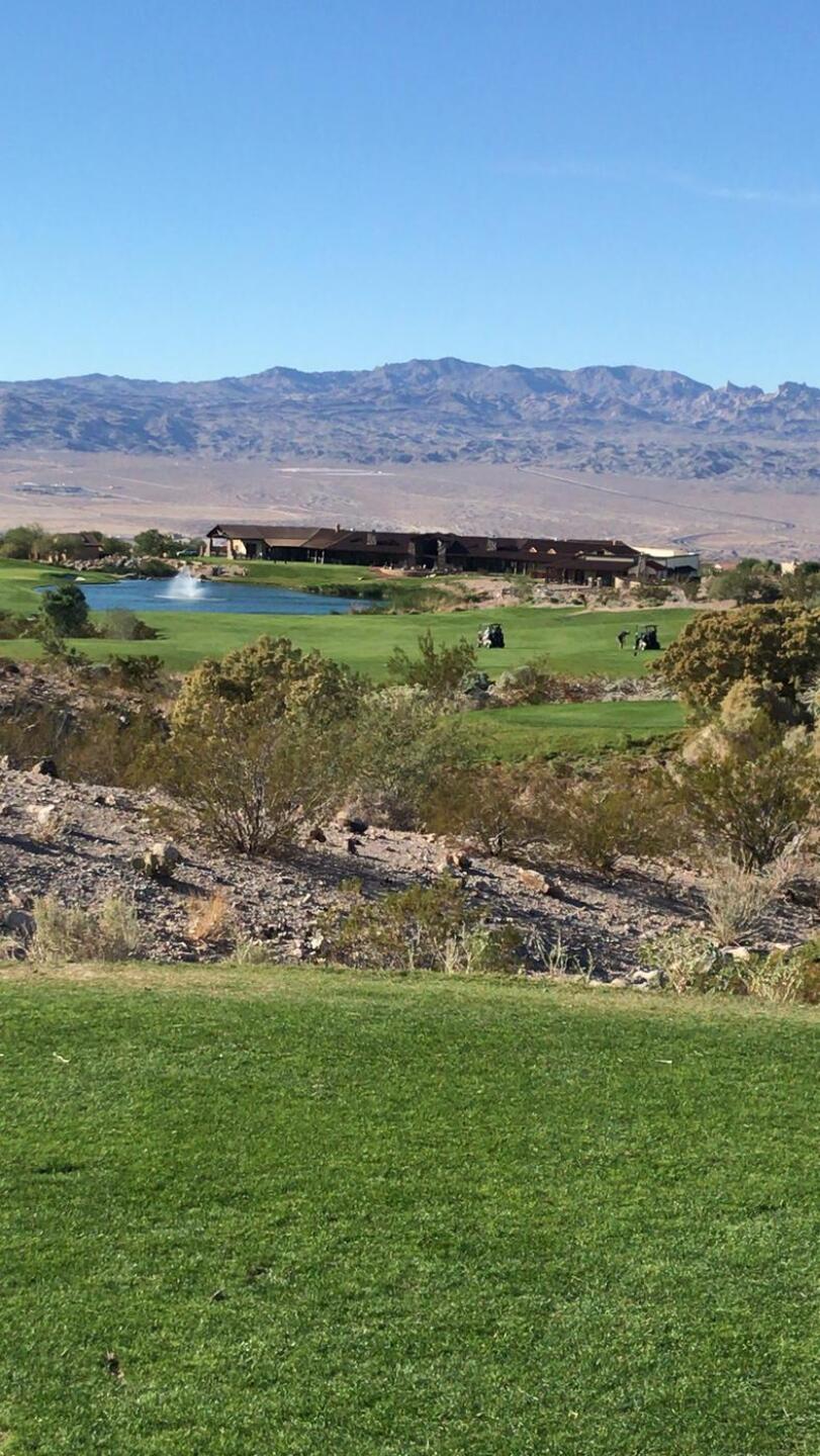 (Photo submitted by u314161396370 on 11/14/2021)