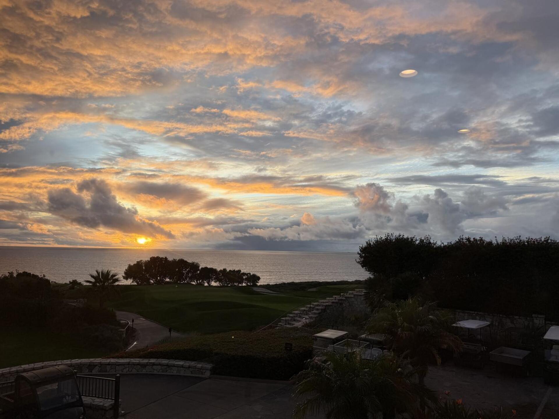 (Photo submitted by null on 01/05/2026)