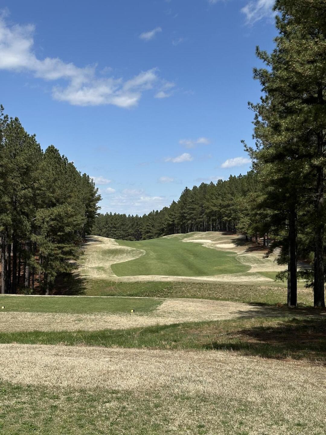 (Photo submitted by chrisfx811 on 04/08/2025)