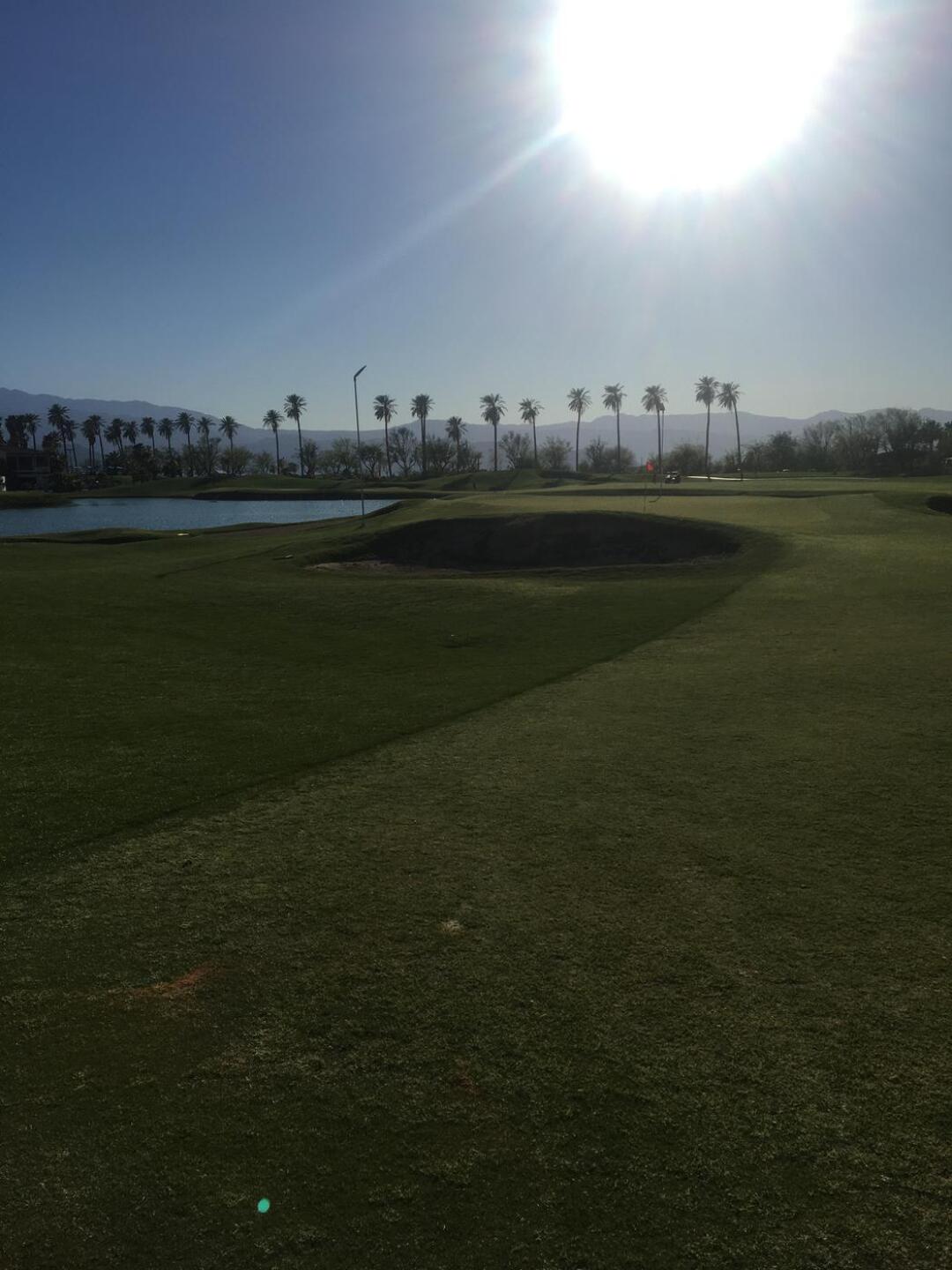 (Photo submitted by u314162561035 on 03/26/2022)