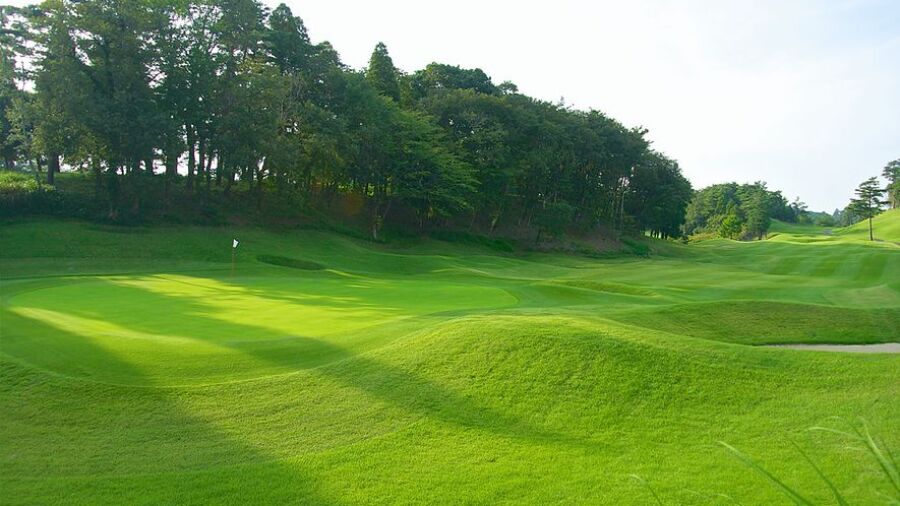 Narita Hills CC: #1