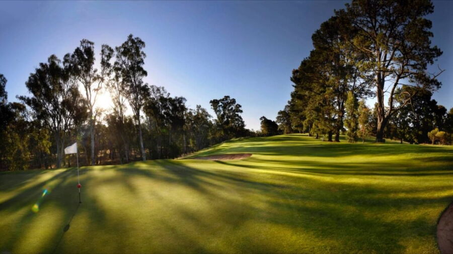 Shepparton GC: #7