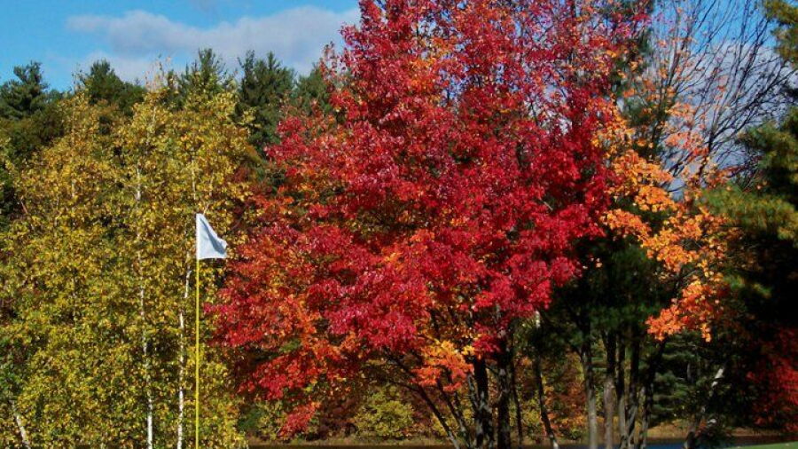 Pequabuck GC