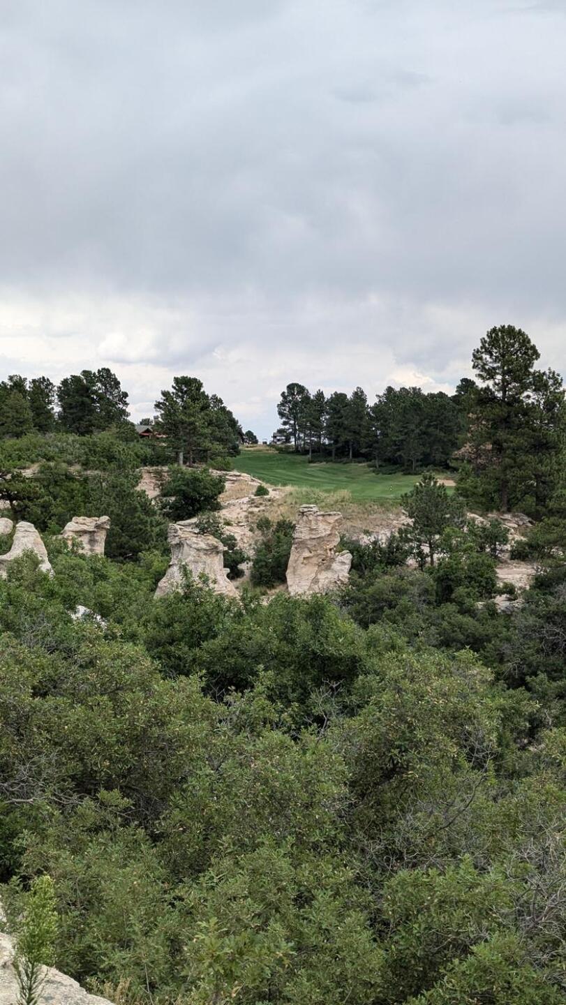 (Photo submitted by tiburonazo on 09/14/2024)